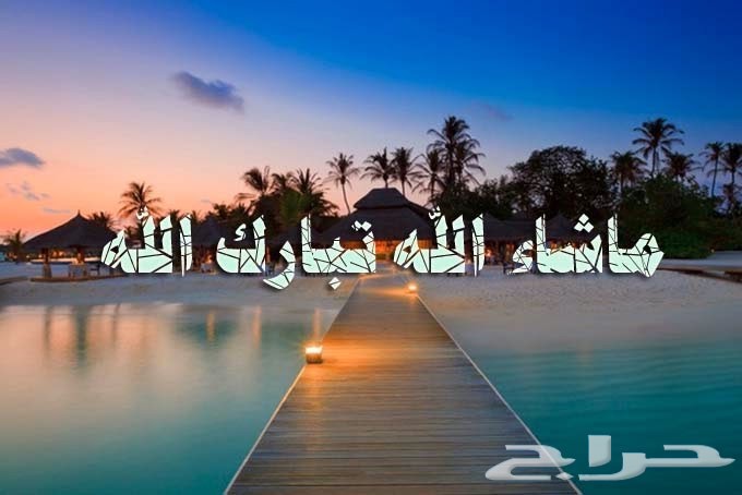 سمن بقر بلدي كفو ومضمون بعدالله سبحانه يبيض الوجة