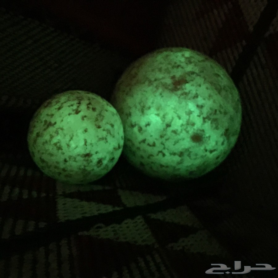 حصريا جوهرة الثعبان المضيئه و خواتم و احجار عقيق و فضيات جديده و تحف و هدايا و حلي نسائيه
