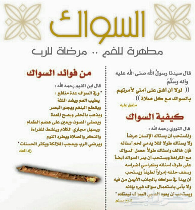 (مسواك جازان الفاخر)...(مانجو جازان الموسمية)
