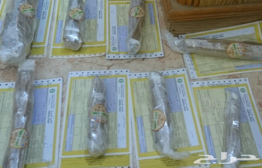 (مسواك جازان الفاخر)...(مانجو جازان الموسمية)