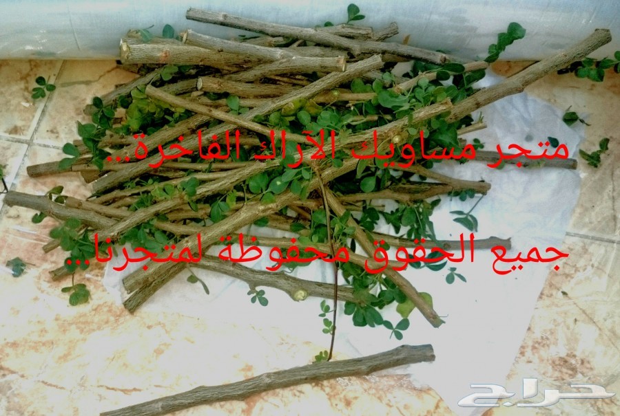 (مسواك جازان الفاخر)...(مانجو جازان الموسمية)