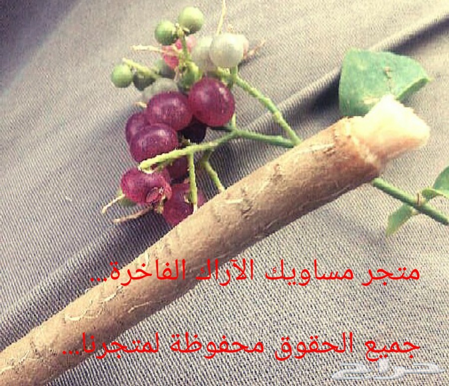 (مسواك جازان الفاخر)...(مانجو جازان الموسمية)