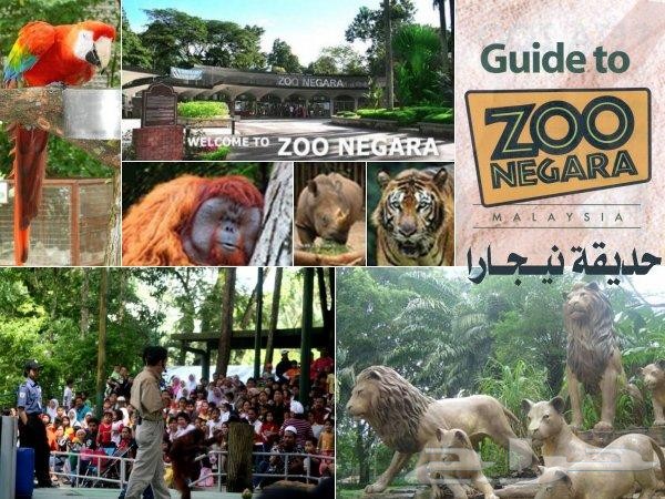 بكدج شهر عسل بماليزيا 5 نجوم لمدة 15 يوم