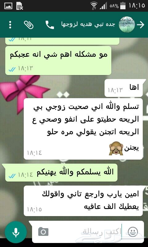 أفضل المخلطات والبراشين (بيع جمله)