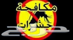 شركة مكافحه حشرات ومكافحة الحمام
