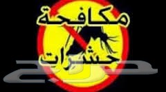 شركة رش مبيد مكافحة حشرات نمل_صراصير_بق_فئران