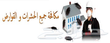 شركة رش مبيد مكافحة حشرات نمل_صراصير_بق_فئران