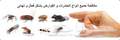 شركة رش مبيد مكافحة حشرات نمل_صراصير_بق_فئران
