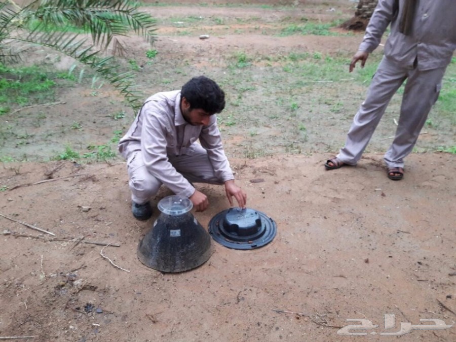 جهاز مصيدة سوسة شجرة النخيل
